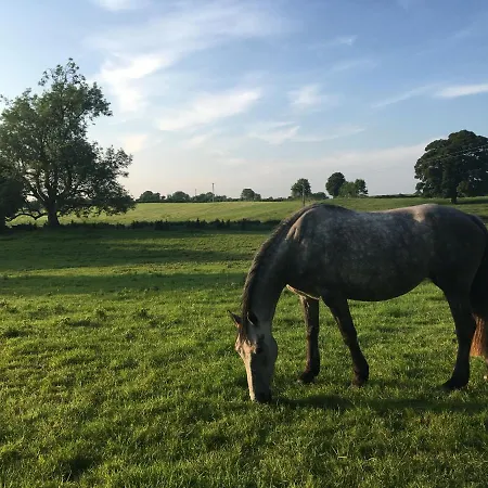 Templemacateer לינה וארוחת בוקר 3*